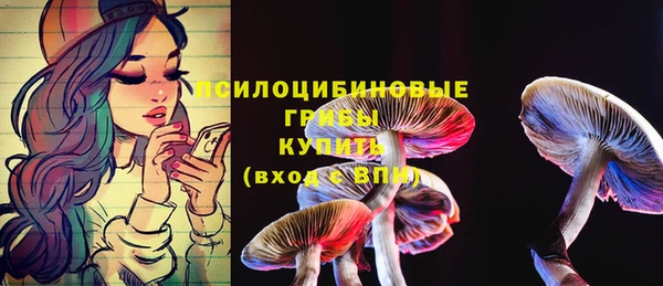 мяу мяу мука Баксан