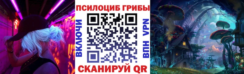 Псилоцибиновые грибы Cubensis  кракен зеркало  Новосокольники 